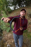 FOX RANGEMASTER POWERGRIP CATAPULT - rybársky prak